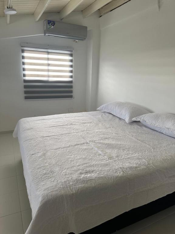 Jhonny Cay Collection Apartment